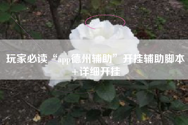 玩家必读“app德州辅助”开挂辅助脚本+详细开挂