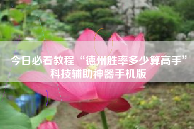 今日必看教程“德州胜率多少算高手”科技辅助神器手机版