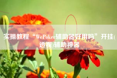 实操教程“WePoker辅助器好用吗”开挂(透视)辅助神器
