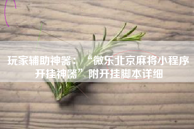 玩家辅助神器：“微乐北京麻将小程序开挂神器”附开挂脚本详细