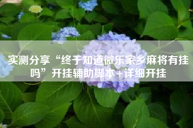 实测分享“终于知道微乐家乡麻将有挂吗”开挂辅助脚本+详细开挂