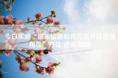 今日实测“微乐福建麻将万能开挂器通用版”开挂(透视)辅助