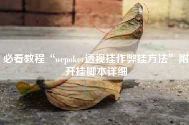 必看教程“wepoker透视挂作弊挂方法”附开挂脚本详细