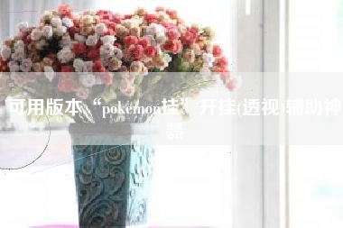 可用版本“pokemon挂”开挂(透视)辅助神器