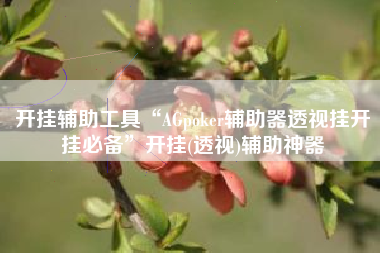 开挂辅助工具“AGpoker辅助器透视挂开挂必备”开挂(透视)辅助神器