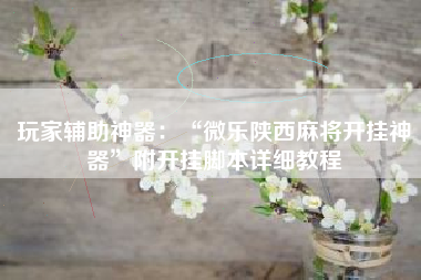 玩家辅助神器：“微乐陕西麻将开挂神器”附开挂脚本详细教程