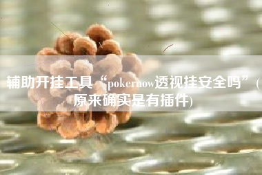 辅助开挂工具“pokernow透视挂安全吗”(原来确实是有插件)