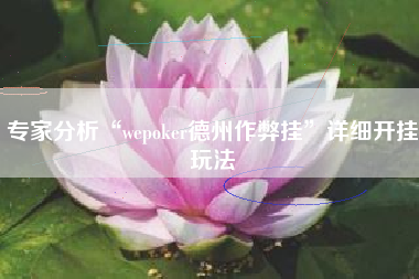 专家分析“wepoker德州作弊挂”详细开挂玩法