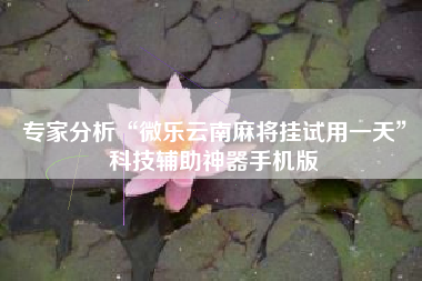 专家分析“微乐云南麻将挂试用一天”科技辅助神器手机版