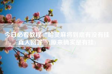 今日必看教程“哈灵麻将到底有没有挂真人回答”(原来确实是有挂)