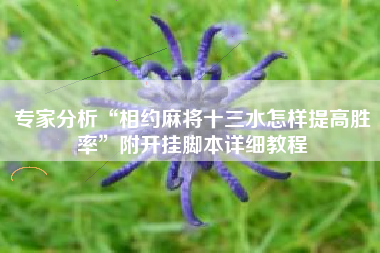 专家分析“相约麻将十三水怎样提高胜率”附开挂脚本详细教程