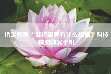 指定教程“麻将组牌有什么规律”科技辅助神器手机