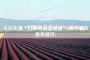 今日实测“打麻将必备神器”(原来确实是有插件)