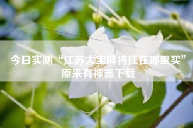 今日实测“江苏大宝麻将挂在哪里买”原来有神器下载