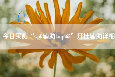 今日实测“wpk辅助kaq665”开挂辅助详细