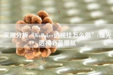 实测分析“WePoker透视挂怎么用”(曝光透视必备猫腻