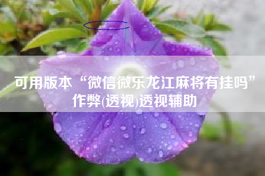 可用版本“微信微乐龙江麻将有挂吗”作弊(透视)透视辅助