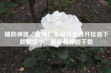 辅助神器“雀神广东麻将免费开挂器下载微信小”原来有神器下载