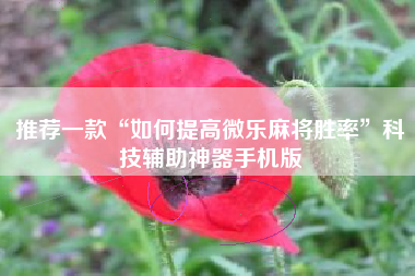 推荐一款“如何提高微乐麻将胜率”科技辅助神器手机版