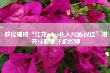 教程辅助“红龙poker私人局透视挂”附开挂脚本详细教程
