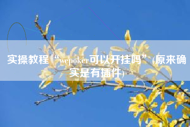 实操教程“wepoker可以开挂吗”(原来确实是有插件)