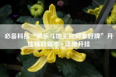必备科技“微乐斗地主如何拿好牌”开挂辅助脚本+详细开挂