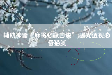 辅助神器“麻将必赢口诀”(曝光透视必备猫腻