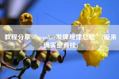 教程分享“wepoker发牌规律总结”(原来确实是有挂)