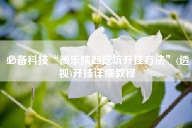 必备科技“微乐陕西挖坑开挂方法”(透视)开挂详细教程