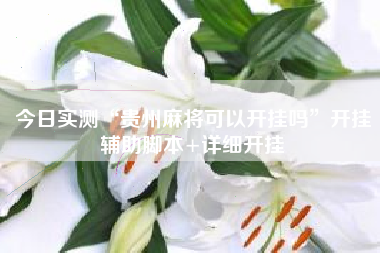 今日实测“贵州麻将可以开挂吗”开挂辅助脚本+详细开挂