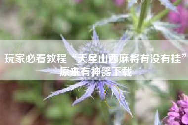 玩家必看教程“天星山西麻将有没有挂”原来有神器下载