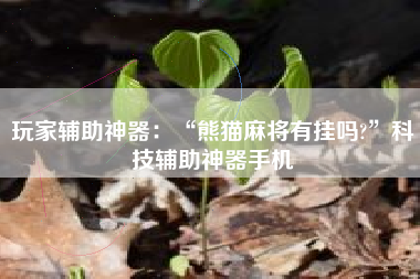 玩家辅助神器：“熊猫麻将有挂吗?”科技辅助神器手机
