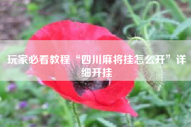 玩家必看教程“四川麻将挂怎么开”详细开挂