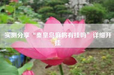 实测分享“秦皇岛麻将有挂吗”详细开挂