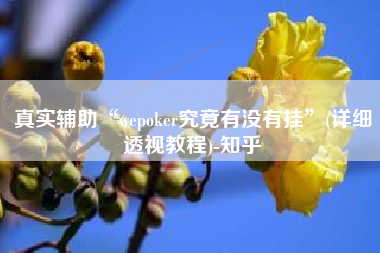 真实辅助“wepoker究竟有没有挂”(详细透视教程)-知乎