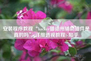 安装程序教程“hacker猫德州辅助插件是真的吗”(详细透视教程)-知乎