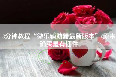 3分钟教程“微乐辅助器最新版本”(原来确实是有插件