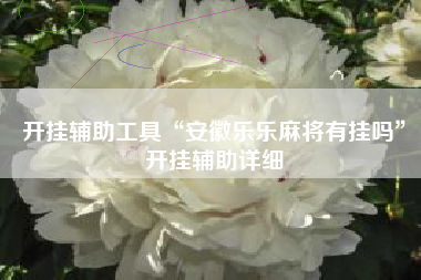 开挂辅助工具“安徽乐乐麻将有挂吗”开挂辅助详细