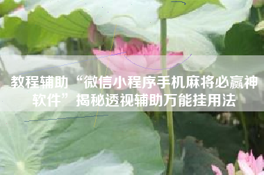 教程辅助“微信小程序手机麻将必赢神软件”揭秘透视辅助万能挂用法