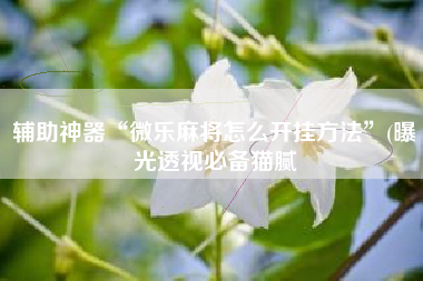 辅助神器“微乐麻将怎么开挂方法”(曝光透视必备猫腻