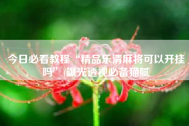 今日必看教程“精品乐清麻将可以开挂吗”(曝光透视必备猫腻