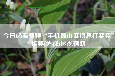 今日必看教程“手机蜀山麻将怎样买挂”作弊(透视)透视辅助