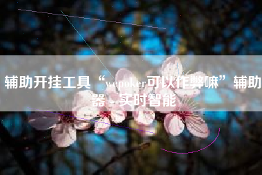 辅助开挂工具“wepoker可以作弊嘛”辅助器 - 实时智能