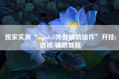 独家实测“aapoker外卦辅助插件”开挂(透视)辅助教程