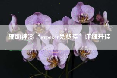 辅助神器“wepoker免费挂”详细开挂