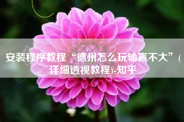 安装程序教程“德州怎么玩输赢不大”(详细透视教程)-知乎