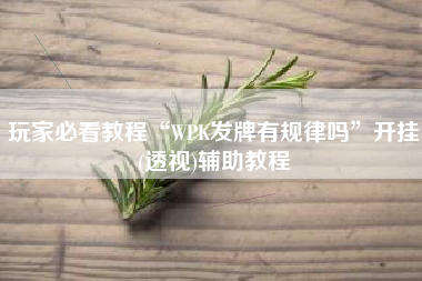 玩家必看教程“WPK发牌有规律吗”开挂(透视)辅助教程