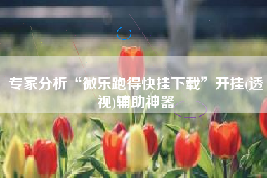 专家分析“微乐跑得快挂下载”开挂(透视)辅助神器