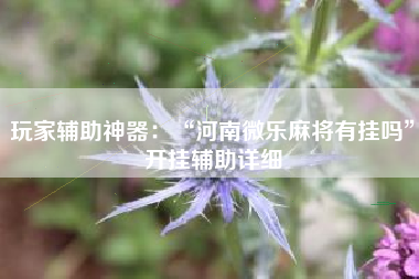 玩家辅助神器：“河南微乐麻将有挂吗”开挂辅助详细