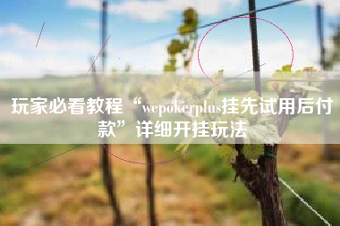 玩家必看教程“wepokerplus挂先试用后付款”详细开挂玩法